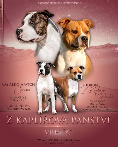 zkaplirovapanstviorig-.jpg
